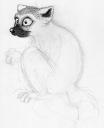 Lemur Sketch