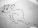 quick Kangaroo sketch