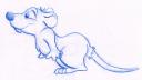 Rat