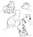 Thylacine sketches