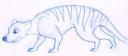 Thylacinus potens, also known as powerful Thylacine