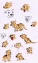 Thylacine Sketches