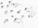 Sugar Glider Sketches