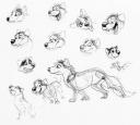 Husky Sketches