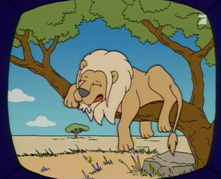 Simpsons Lions 1