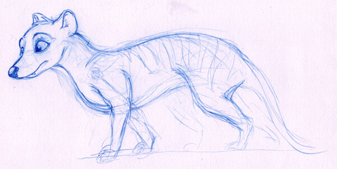 Thylacine doodle