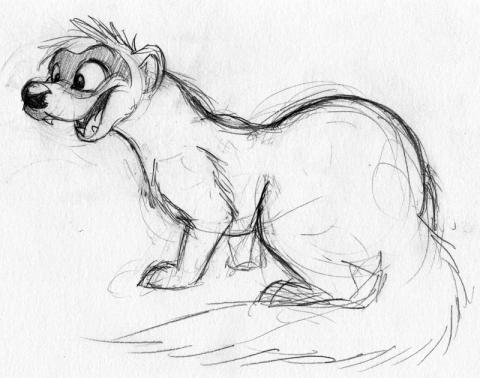 Ferret Sketch