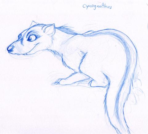 Cynognathus Sketch