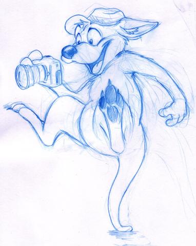 Kangaroo with Camera