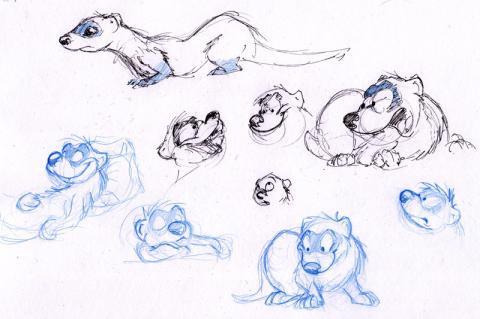 Sketches of Ferrets