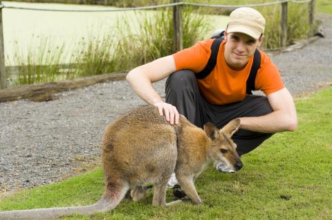 Me with Kangaroo at Lone Pine Koala Sanctuary