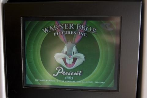 Looney Tunes on Airplane