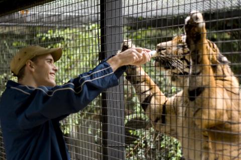 Me, feeding Tigers