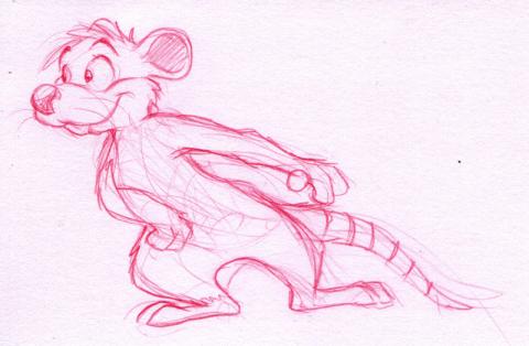 Rat