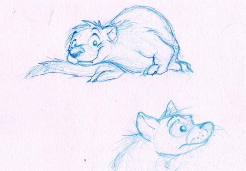 Ferret and Quoll