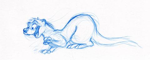 Ferret sketch