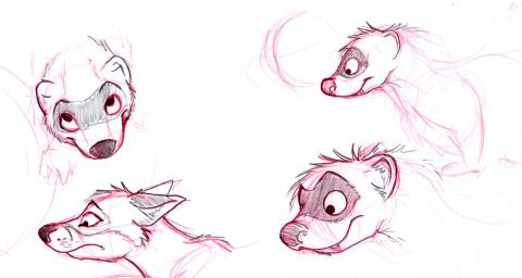 Ferret doodles and a fox drawing