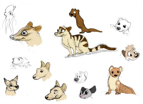 Various cartoon sketches, including banded palm civets, kangaroos, weasels, a sugar glider and a wolf