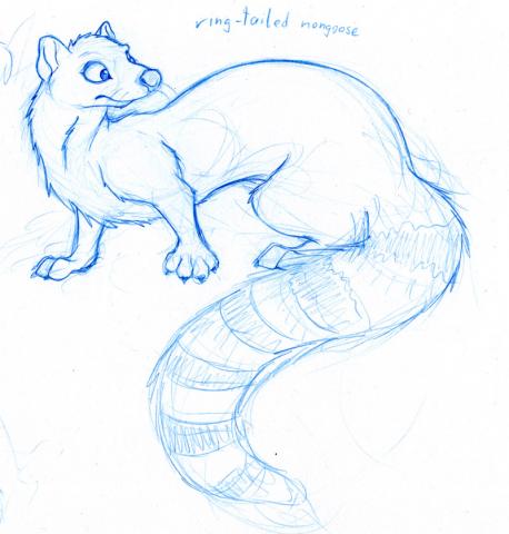 cartoon ring-tailed mongoose