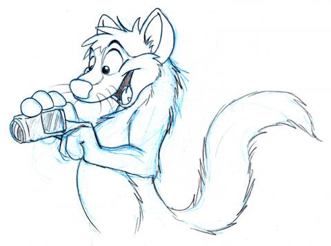 marten with camera