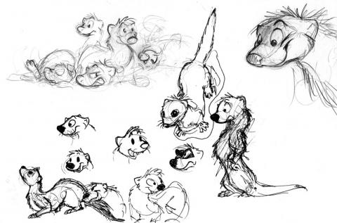 cartoon ferret drawings
