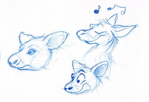 cartoon kangaroo sketches