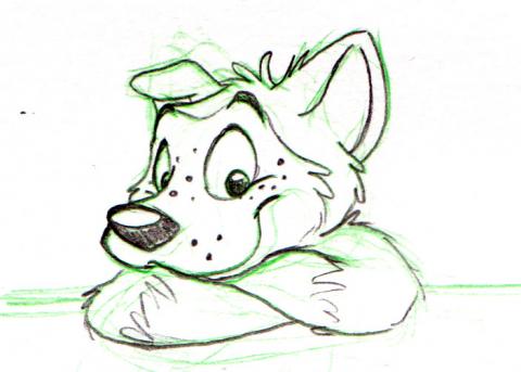 cartoon Husky Sketch