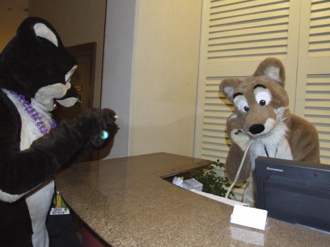 Otter at reception desk