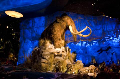 Mammoth at T-Rex Restaurant in Downtown Disney