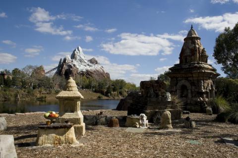 Expedition Everest on Animal Kingdom