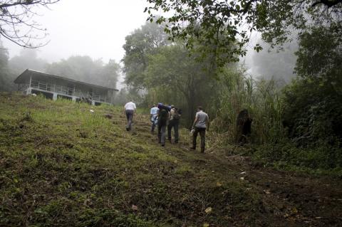 First Hut at Mount Cameroon