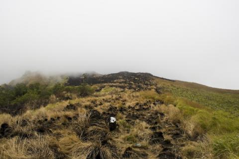 Mount Cameroon