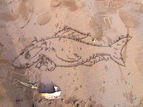 Fish, drawn in sand in Limbe