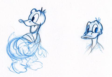 Drawings of Donald Duck