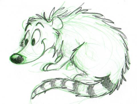 cartoon coati drawing