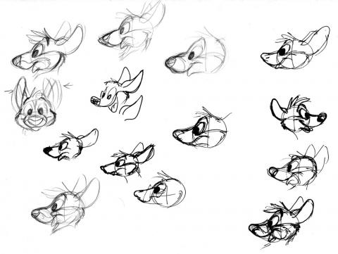 Kangaroo heads