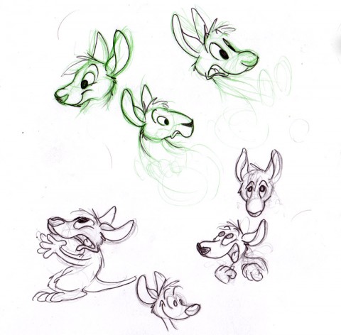 How to draw cartoon Kangaroos