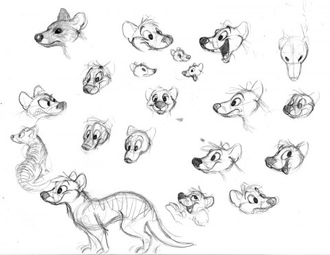 Tyler Thylacine Sketches
