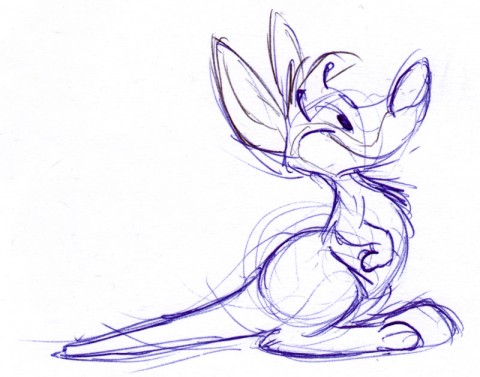 Cartoon kangaroo drawing