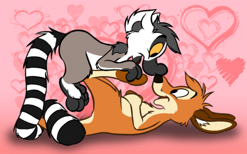 Lemur and Kangaroo in love
