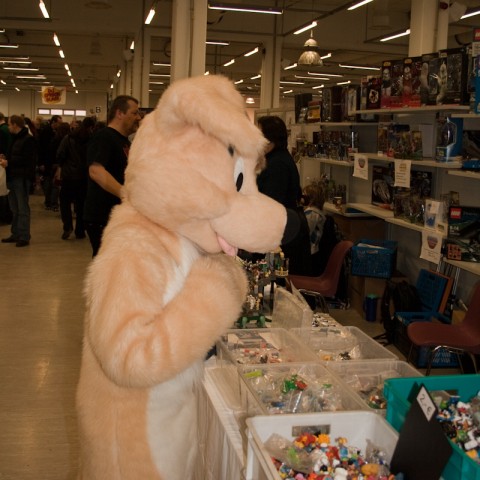 Dog is checking out the Lego booth.