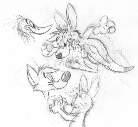 110914_various Angry kangaroo, coyote, kangaroo with polaroid camera, bird.