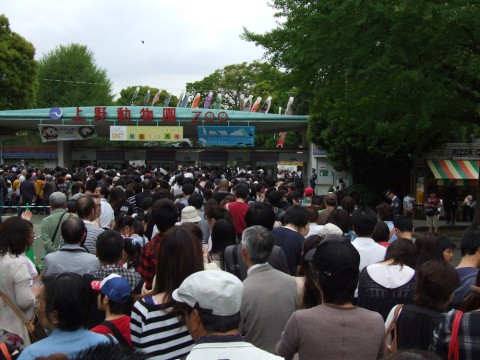 120430_7959 Long waiting line at the Ueno Zoo