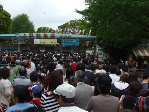 Long waiting line at the Ueno Zoo