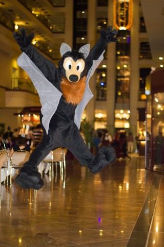 IMG_5469 Wheee!