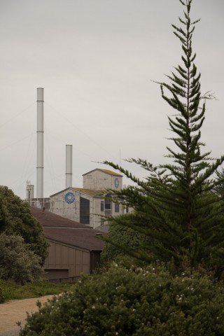 Shot of the monterey aquarium building.