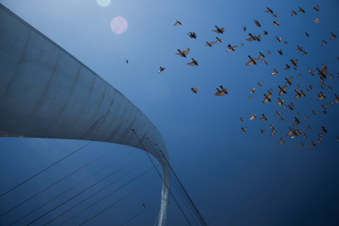 The arch of Tijuana.