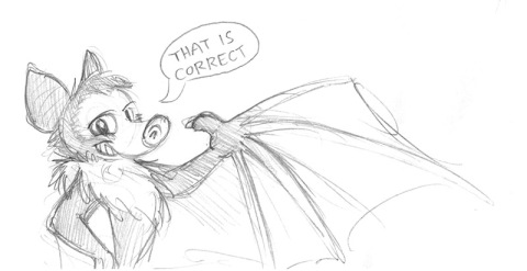 Cartoon fruit bat.