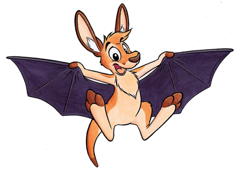 Colored bat kangaroo.