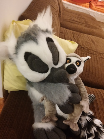 Kiki also needed some rest. The plushie was a gift from Pegla.